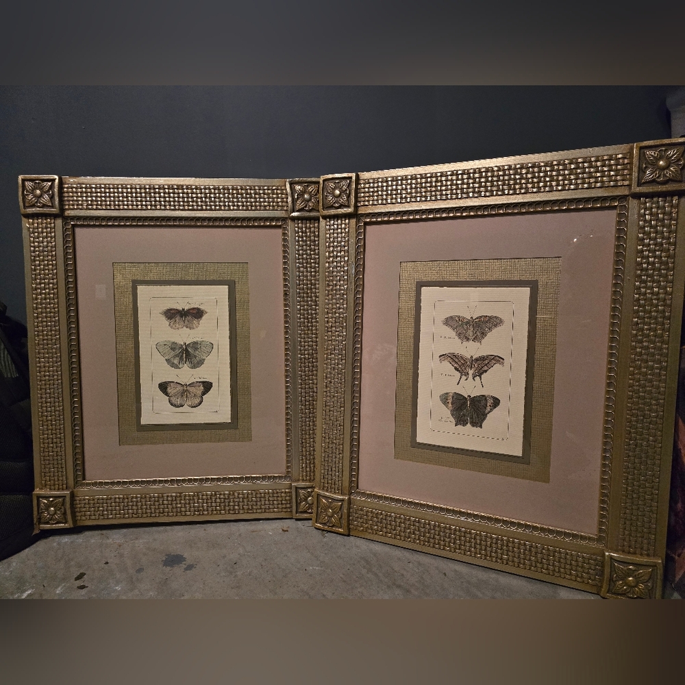 Gold Framed Butterfly Wall Art Set